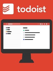 Todoist - Pro PC 1 Apparaat 3 maanden todoist.com Sleutel GLOBAL