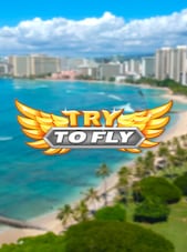 Try to Fly PC Steam Chiave EUROPA
