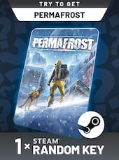 Try To Get Permafrost - Random 1 Key PC Steam Key GLOBAL