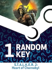 Try To Get S.T.A.L.K.E.R. 2: Heart of Chornobyl - Random 1 Key - (PC) - Steam Key - ROW Steam Key ROW