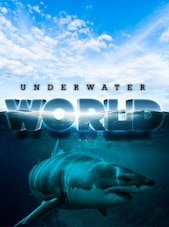 Underwater World PC Steam Schlüssel GLOBAL