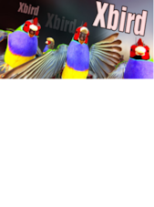 Xbird PC Steam Key GLOBAL