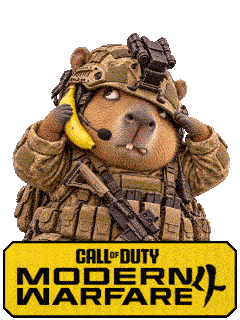 G2A Call Of Duty MW4