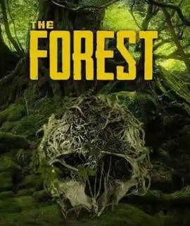 The Forest