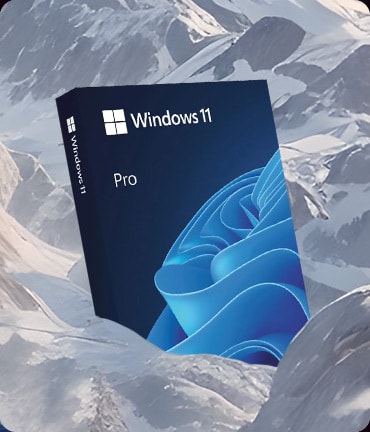 Microsoft Windows 11 Pro