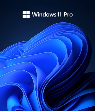 MICROSOFT WINDOWS 11 PRO