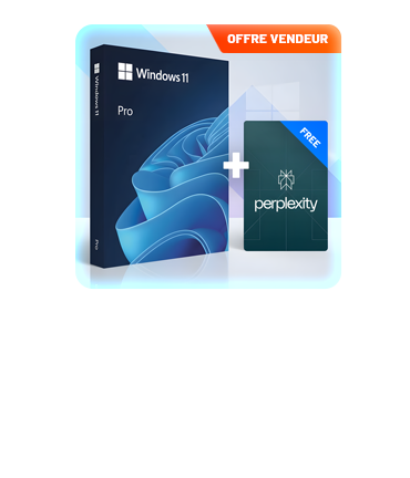 WINDOWS 11 + FREE PERPLEXITY PRO