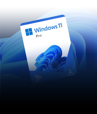 Windows 11 Pro