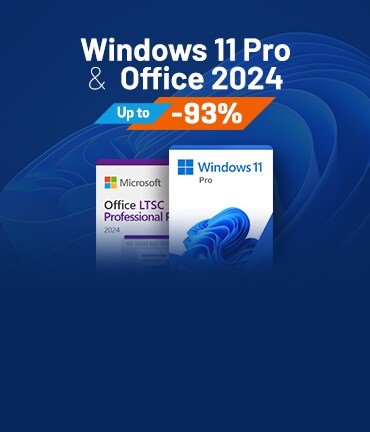 Windows 11 Pro & Microsoft Office