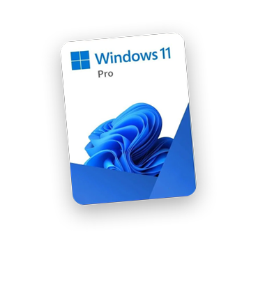 Windows 11 Pro