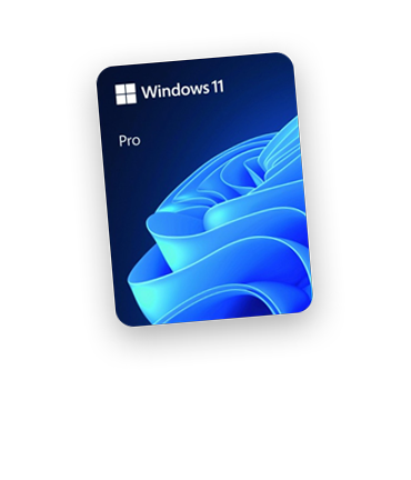 Microsoft Windows 11 Pro