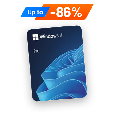 Windows 11 Pro