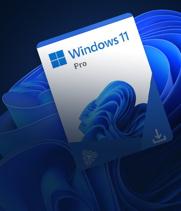 Windows 11 Pro
