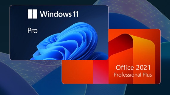 Paquete Microsoft Windows 11 Pro