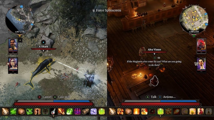 Divinity split screen