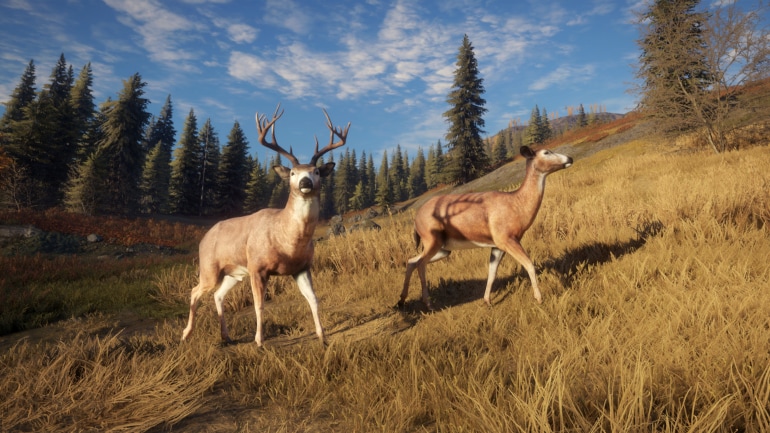 theHunter: Call of the Wild - Seasoned Hunter Bundle