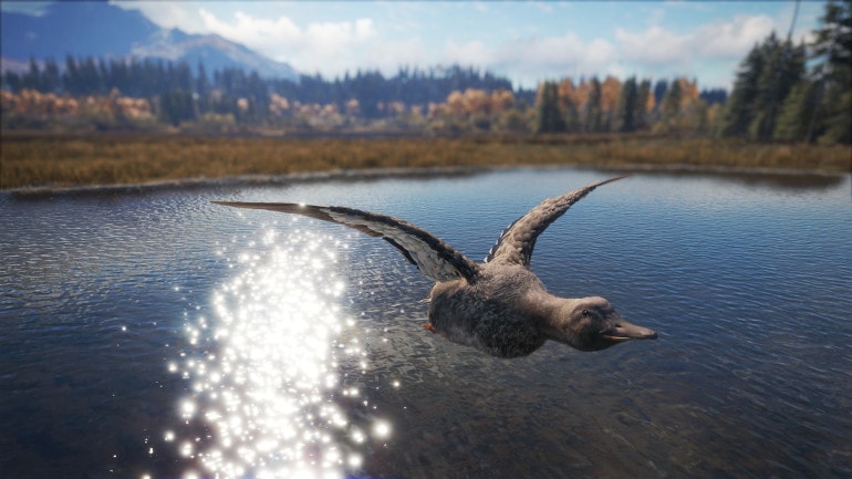 theHunter: Call of the Wild - Duck and Cover Pack
