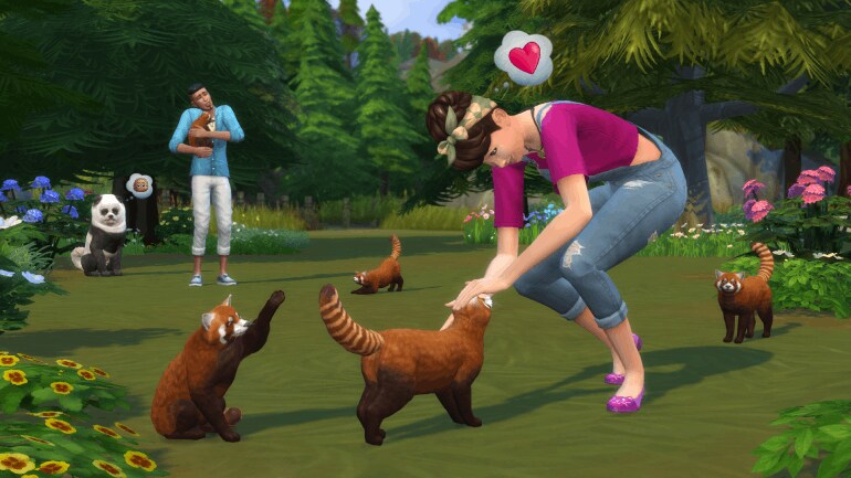 Cool Pet Games For Everyone - Pets and Us