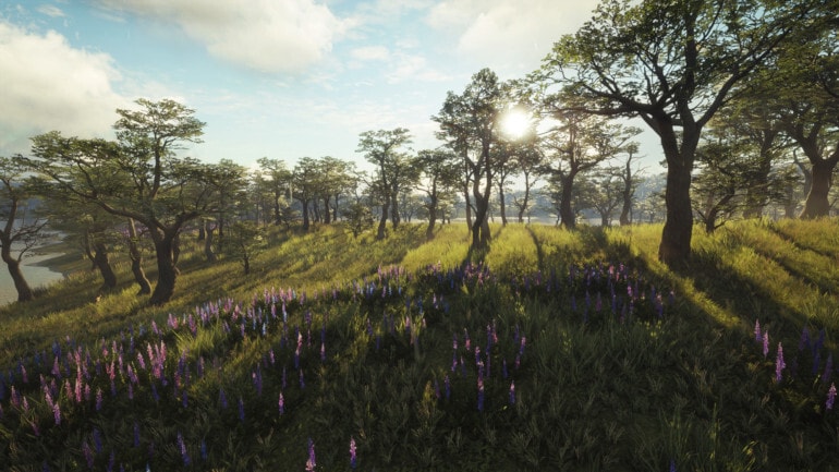 theHunter: Call of the Wild - Parque Fernando