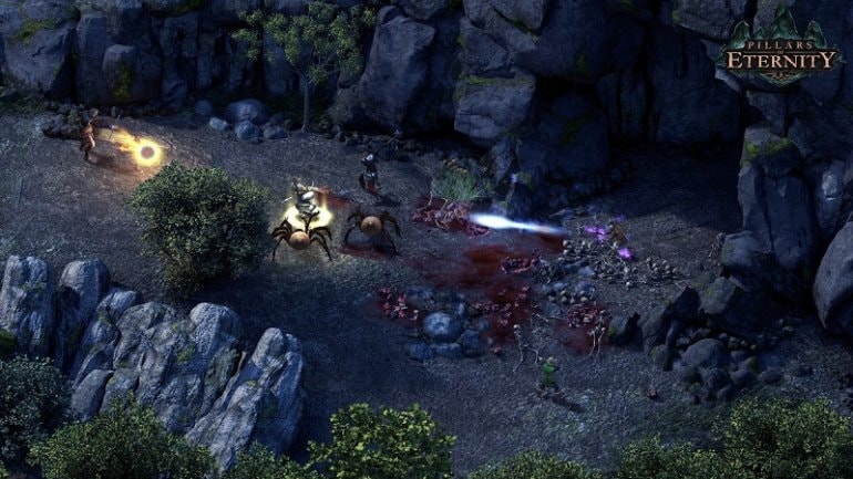 Pillars of Eternity | Definitive Edition