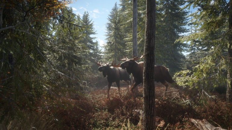 theHunter: Call of the Wild - Master Hunter Bundle