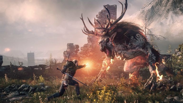 Witcher vs Monster