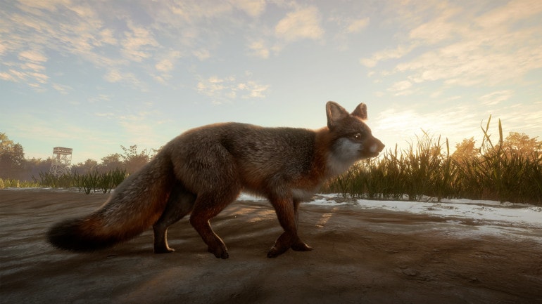 theHunter: Call of the Wild - Mississippi Acres Preserve