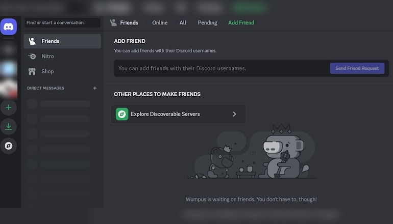 Discord Interface