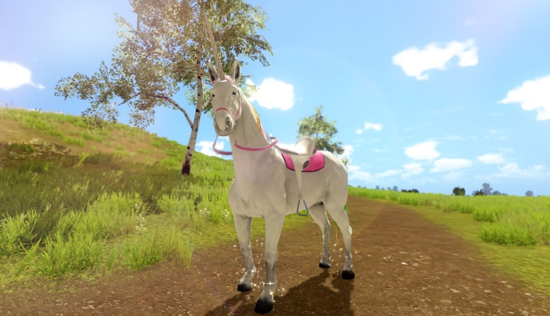 The Unicorn Princess