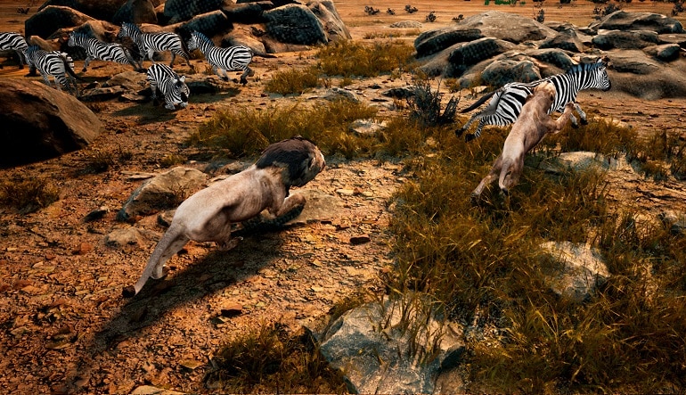 Animalia Survival