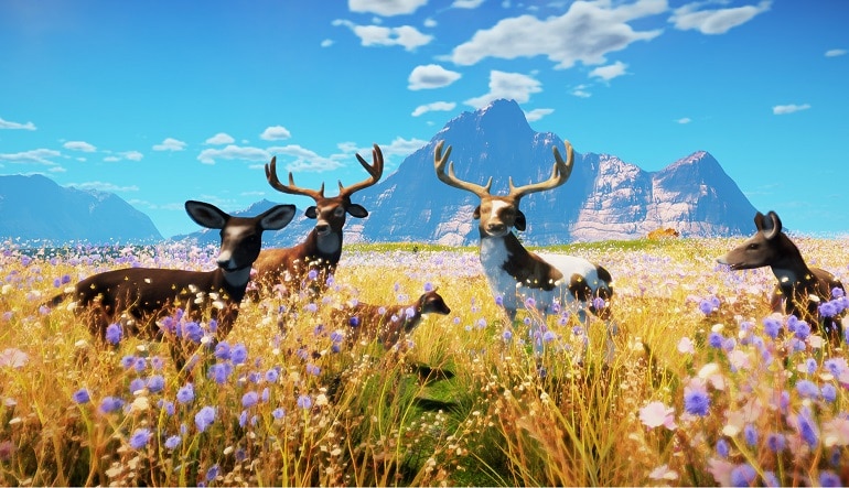 Animallica