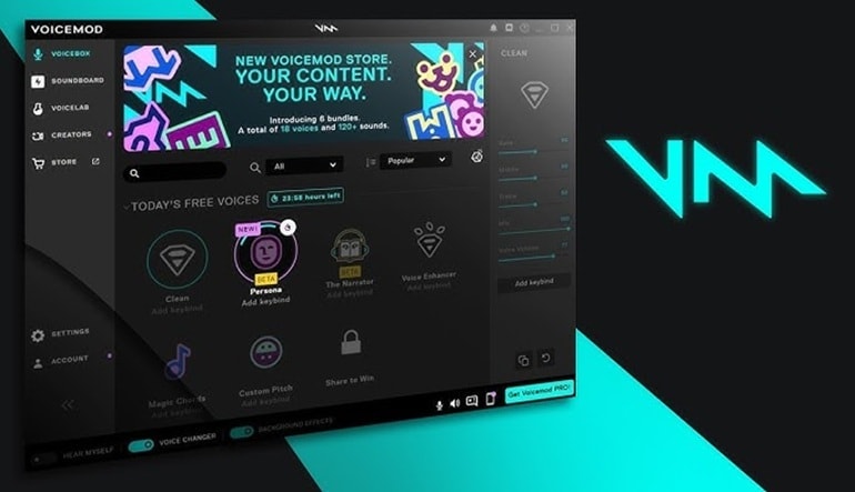 Voicemod Pro
