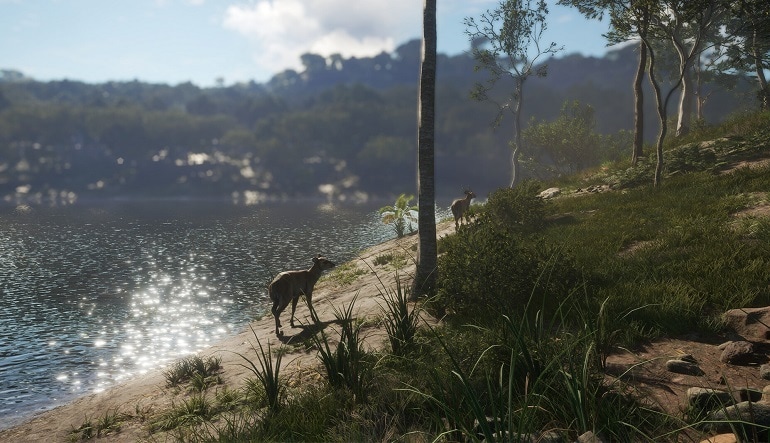 theHunter: Call of the Wild - Emerald Coast Australia