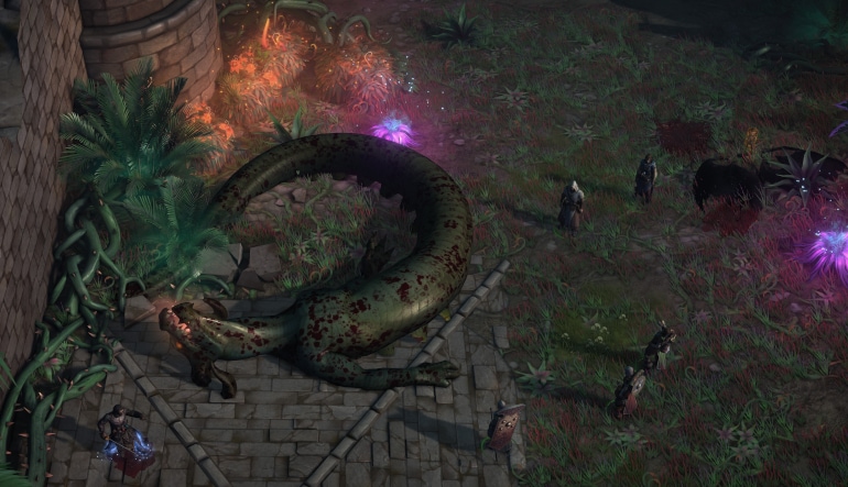 Pathfinder: Kingmaker - The Wildcards
