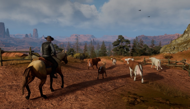 Cowboy Life Simulator