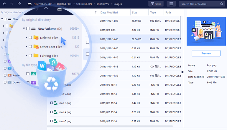 EaseUS Data Recovery Wizard Professional