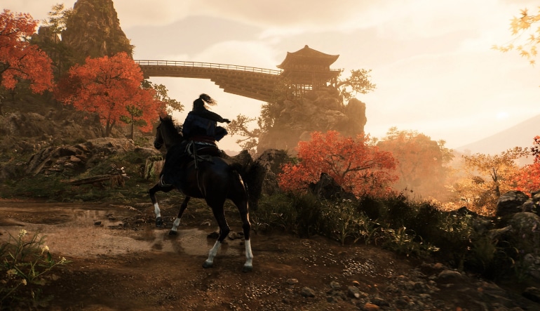 Rise of the Ronin