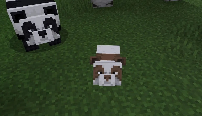 Minecraft