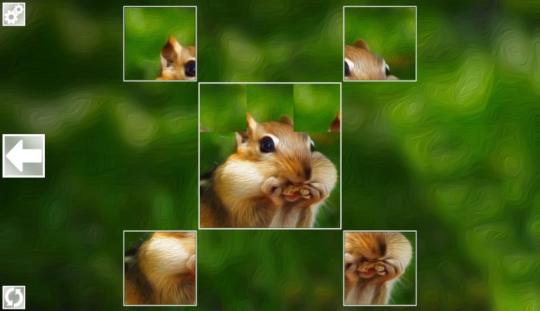 Puzzle Art: Rodents