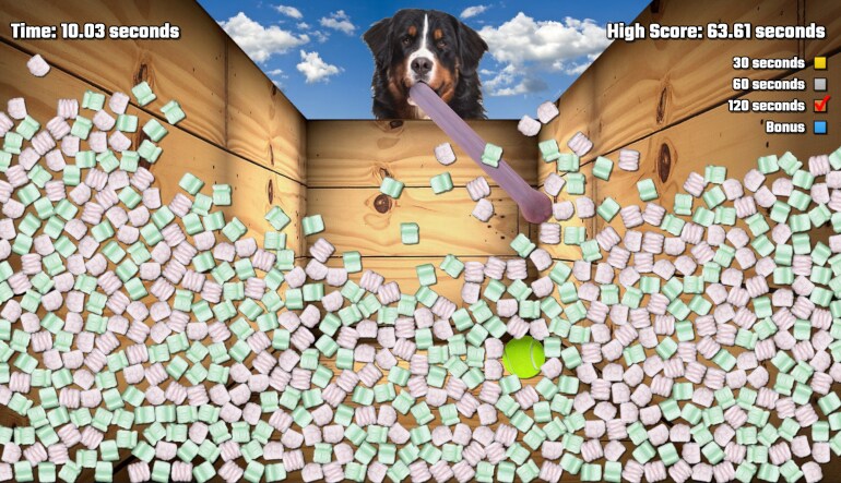 Salamander County Public Television