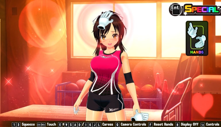 Senran Kagura Reflexions