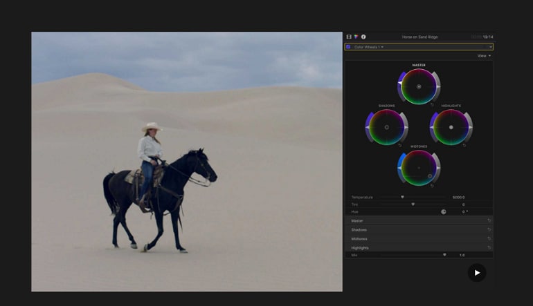 Apple Final Cut Pro