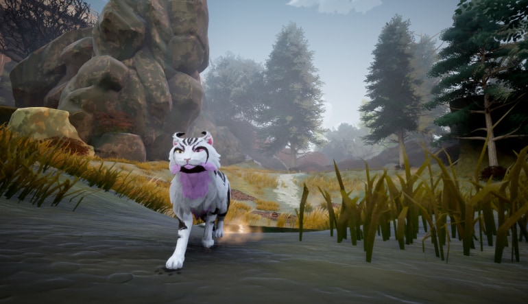 Warrior Cats: Clans of the Forest