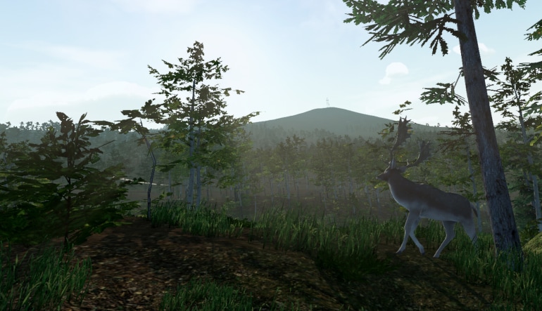 Virtual Hunter