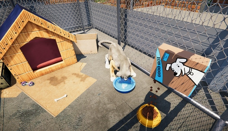 Animal Shelter