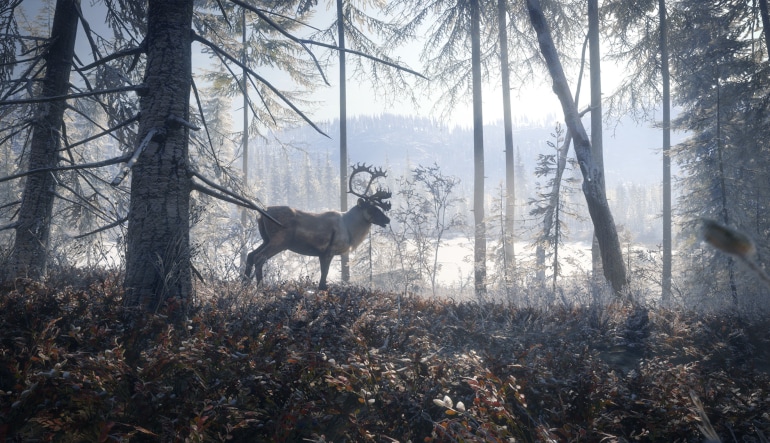 theHunter: Call of the Wild - Medved-Taiga