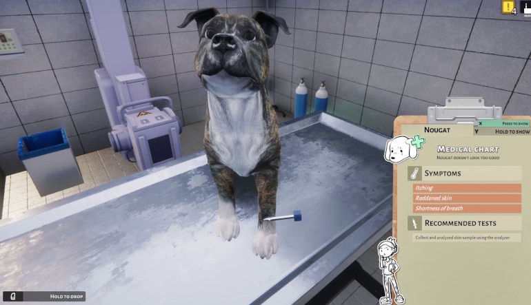 Animal Shelter: Vet Clinic