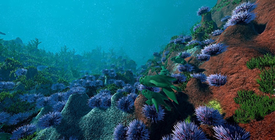Ecosystem