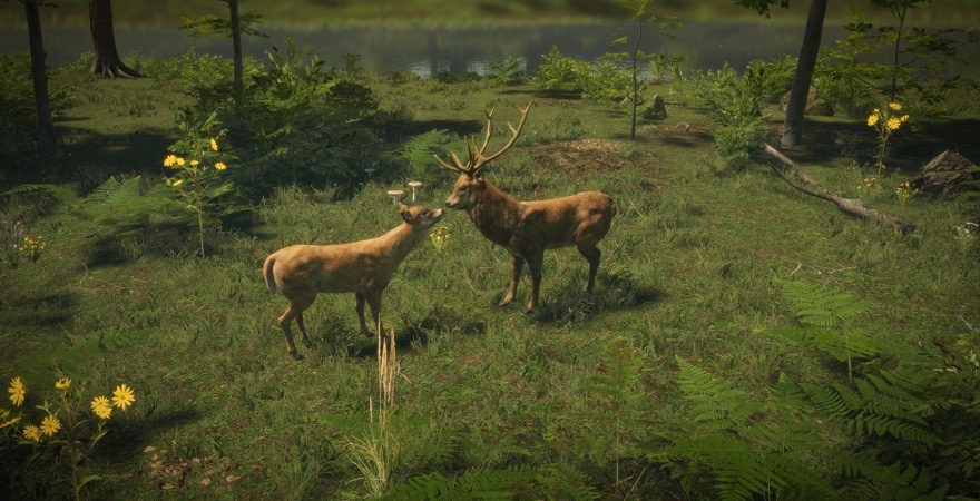 Natural Instincts