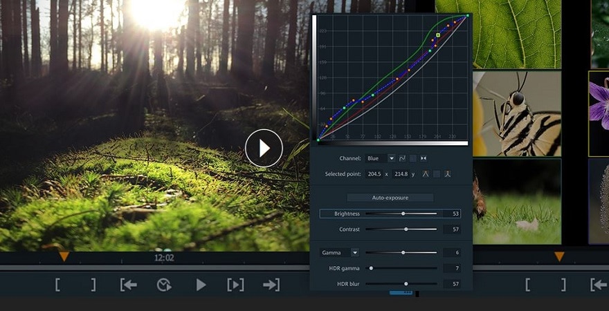 Video Pro X11